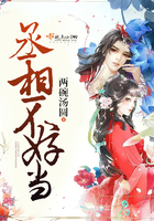 南方有乔木在线观看
