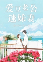 电视剧同性恋