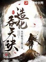 我本风流全文