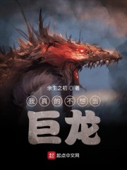 一二三四高清在线看免费