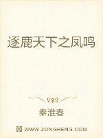 最美情侣免费高清观看