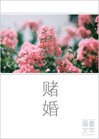 独宠男后[重生]君无影