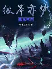 西北有高楼小说