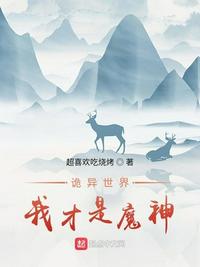 13一14zozo印度