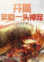 老奇人333248ccm