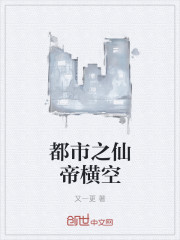 书桌H-NPH