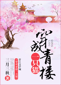 神秘电影高清视频在线观看