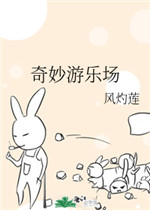 动物胶配方视频大全连续播放