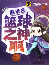 全职高手系统