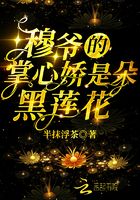 张瑶马健国小说