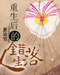 步步惊心续集