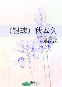包老板免费视频
