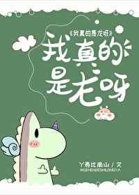 九首歌图解