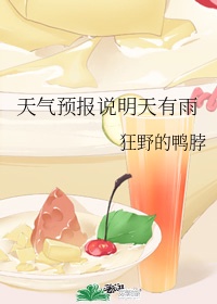 两个妻子