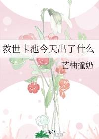 淑女的品格在哪里看