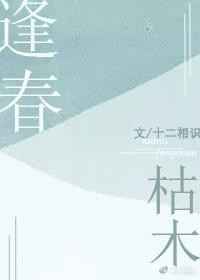 斗破苍穹无上