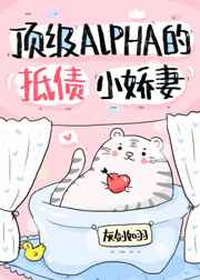 金陵十三钗原著
