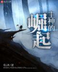 窥视小说