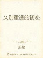 白白发布布最近更新