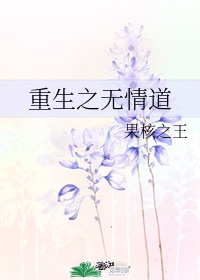 极品禁伦合集小说
