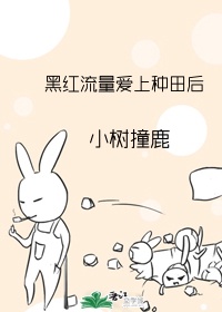 陆亦深徐漫