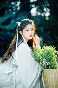 孽债2