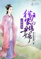 白桦树美剧