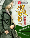 新金平瓶梅国语杨思版