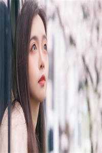 12回合