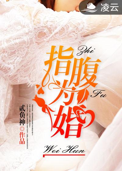 守护甜心官方大结局