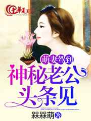 零度战姬ova