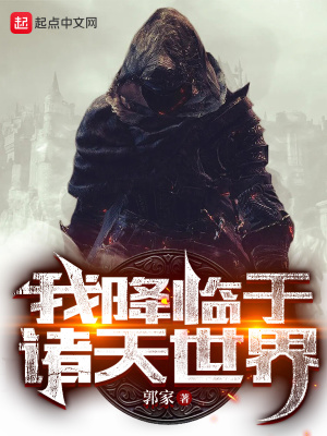 假面骑士风暴英雄