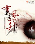黑太阳731完整版