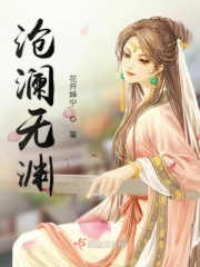 豺狼计划