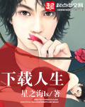 神雕侠侣2024陈晓版免费观看全集
