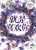 双面警长