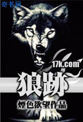 特战荣耀小说