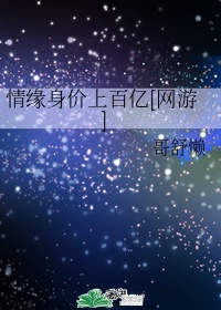 陈金飞破刘亦菲的小说