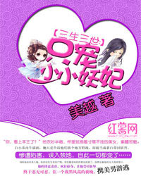 穿越雍正之美艳后宫