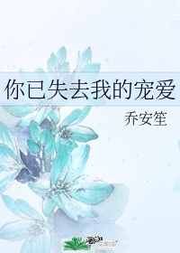 网游纵横天下