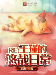 我曾为你半生流离