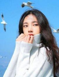 幕后之王免费看