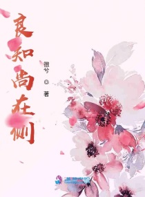 旧版宅男app下载