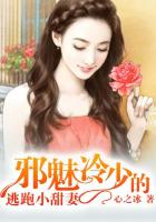 玩具酱全套合集