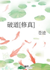 李易峰镜双城电视剧免费观看