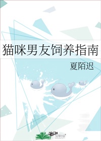 小说斗罗大陆