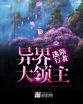野外车里地震视频真实高清