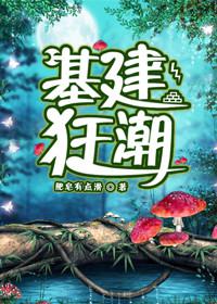 驻京办主任2