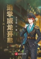 顾君亦苏杳小说免费笔趣阁109章