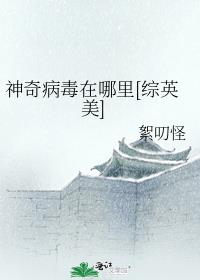 刀客家族的女人电视剧免费播放